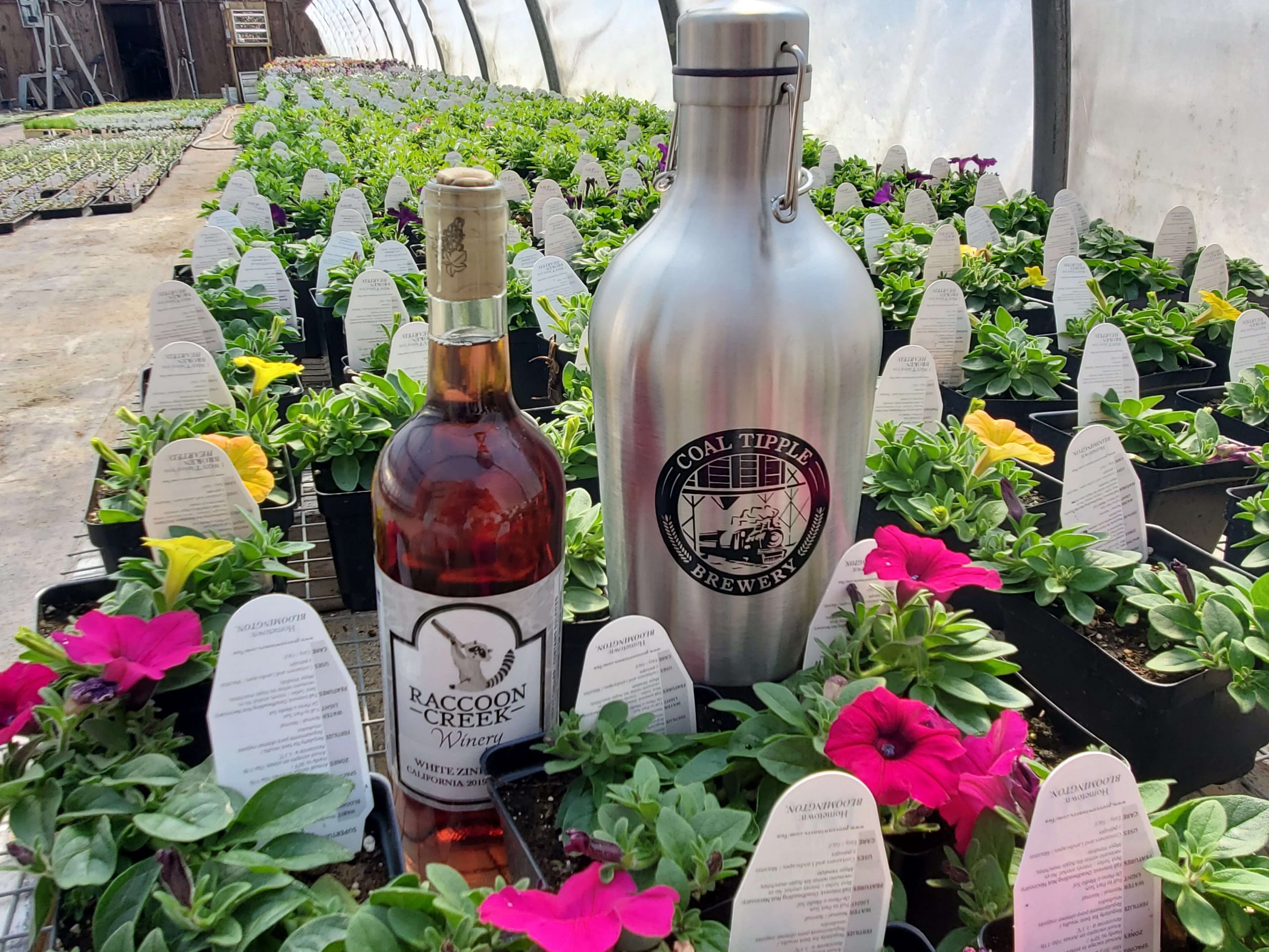 2 bottles of wine amongst a bed of flowers